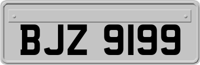 BJZ9199