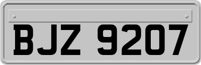 BJZ9207