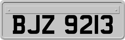 BJZ9213