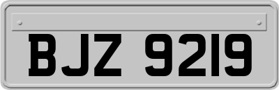 BJZ9219