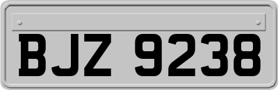 BJZ9238