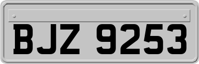 BJZ9253