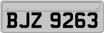 BJZ9263