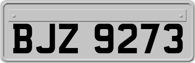 BJZ9273