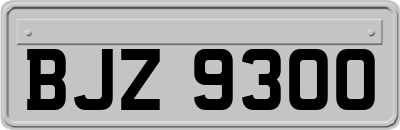 BJZ9300