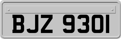 BJZ9301