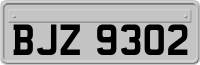 BJZ9302