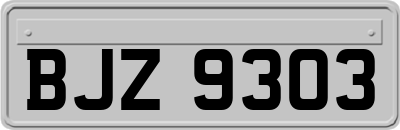 BJZ9303