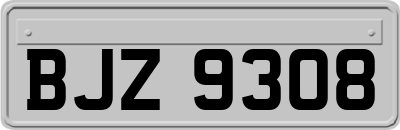 BJZ9308