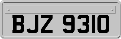 BJZ9310