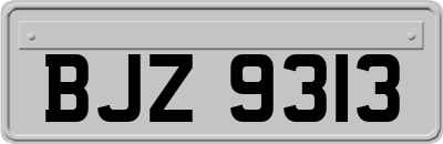 BJZ9313