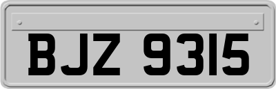 BJZ9315