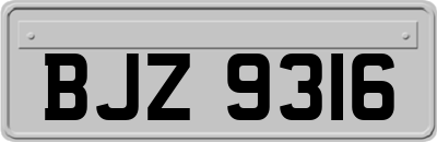 BJZ9316