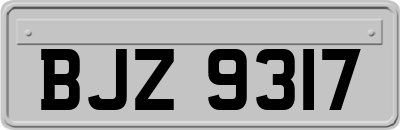 BJZ9317