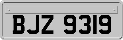 BJZ9319