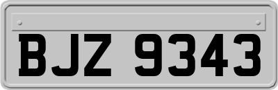 BJZ9343