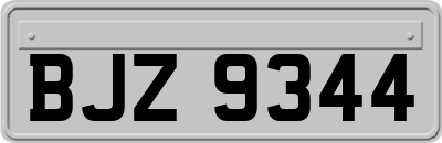 BJZ9344