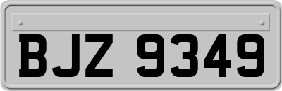 BJZ9349