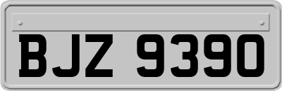 BJZ9390