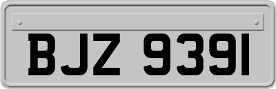 BJZ9391