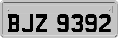 BJZ9392