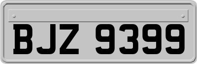 BJZ9399