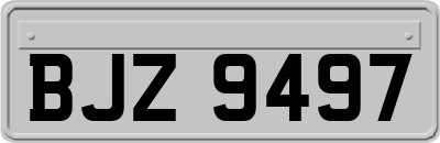 BJZ9497