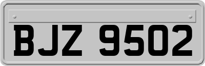 BJZ9502