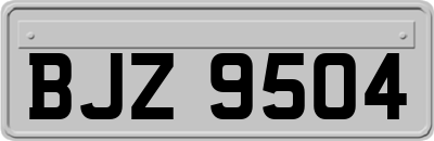 BJZ9504