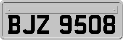 BJZ9508