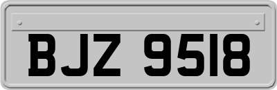 BJZ9518