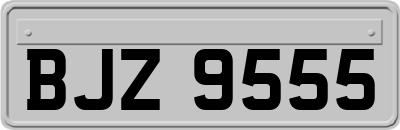 BJZ9555