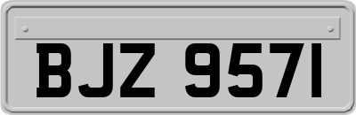 BJZ9571