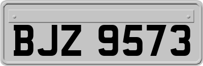 BJZ9573
