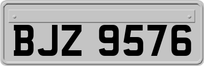 BJZ9576