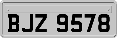 BJZ9578