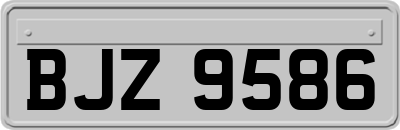 BJZ9586