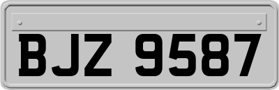 BJZ9587