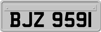 BJZ9591