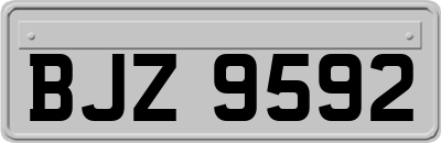 BJZ9592