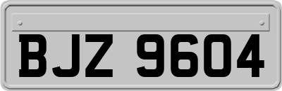 BJZ9604