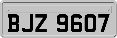 BJZ9607