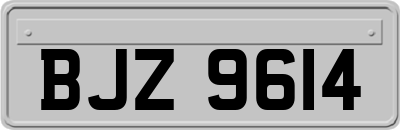 BJZ9614