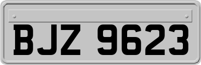 BJZ9623