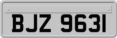 BJZ9631