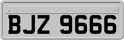 BJZ9666