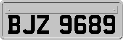 BJZ9689