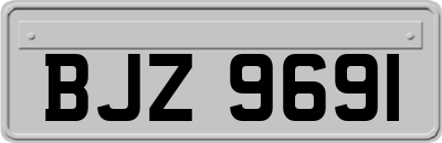 BJZ9691