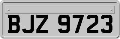 BJZ9723