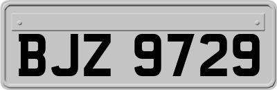 BJZ9729